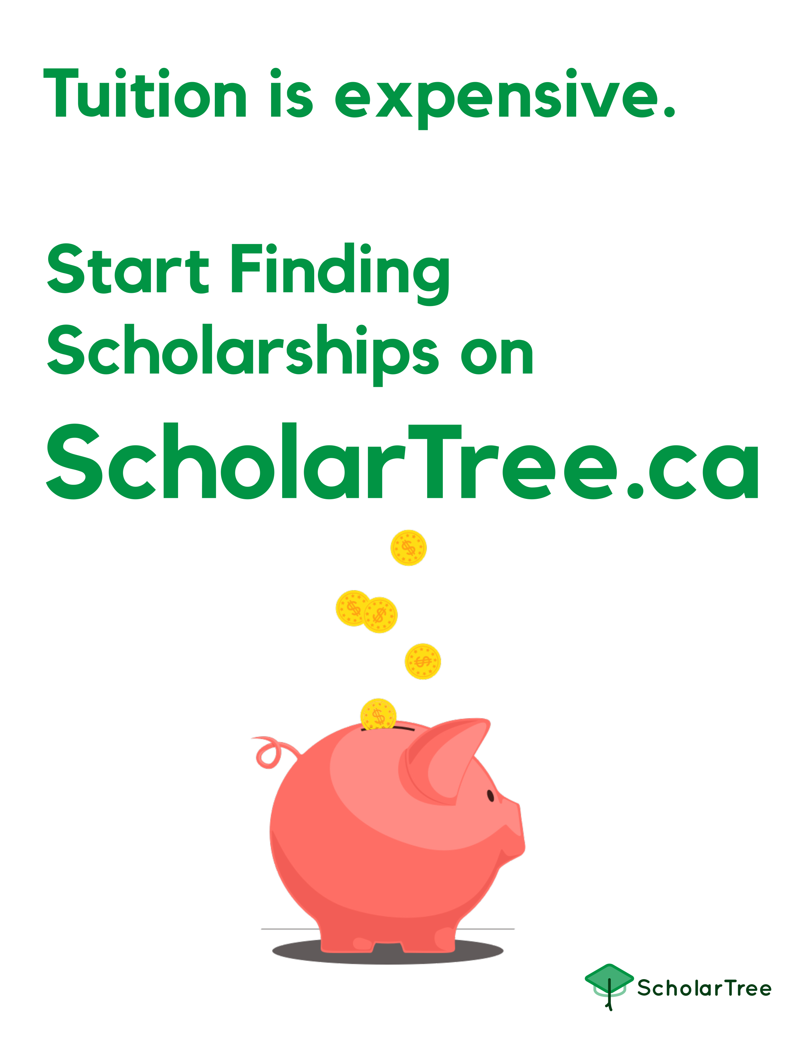 Scholarship and Bursary Opportunities Charles Hays Secondary