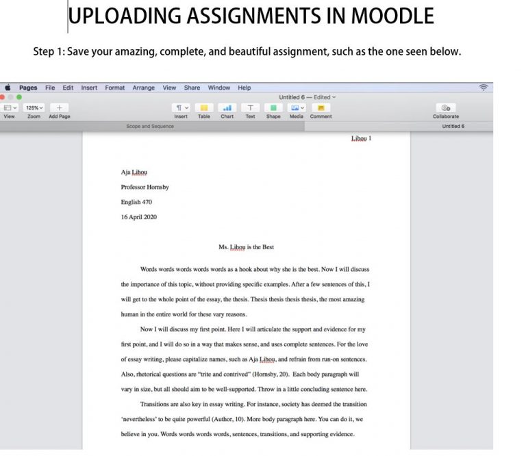 Moodle assignment submission settings picture